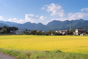 DSC_2137.jpg